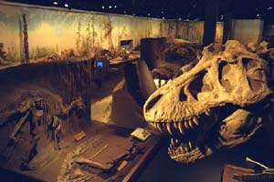The Hallway of Dinosaurs